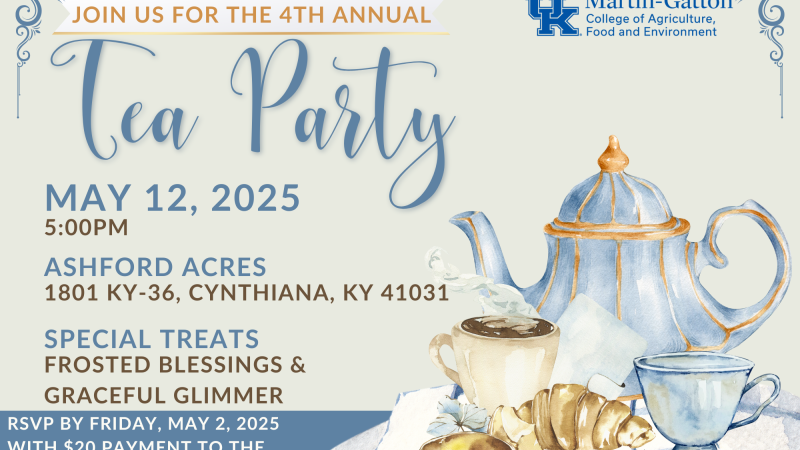 Tea Party Flyer